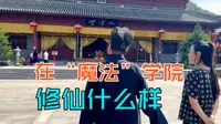 【探道·天台山】千年桐柏宫为全真南宗祖庭。游殿修心感受正统道门日常，性命双修才是道家根本。