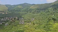 游览浙江丽水的云和梯田景区，国家5A景区，全程下来坐索道坐了我一小时，说说我的真实感受