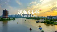 玉林市 -《这就是玉林》-宣传片-国家城市视频