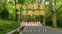 钟山风景区保姆级攻略来啦，带你一天玩转中山陵明孝陵美龄宫灵谷寺，赶快收藏起来吧