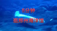5分钟逛郑州海洋馆