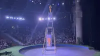 金牛湖野生动物王国大马戏表演