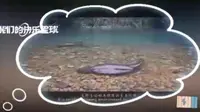 娄底新化，三联峒景区，有没有去过的朋友或者想去的朋友