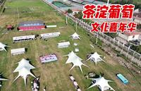 天津最好吃的葡萄是茶淀玫瑰香，这里还为葡萄举办了个嘉年华