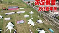 天津最好吃的葡萄是茶淀玫瑰香，这里还为葡萄举办了个嘉年华