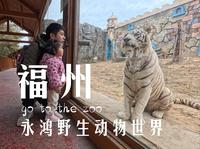 Vlog福州·永鸿野生动物世界（永鸿动物园）
