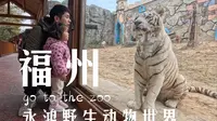 Vlog福州·永鸿野生动物世界（永鸿动物园）