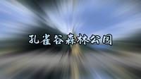 德宏孔雀谷森林公园