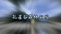 德宏孔雀谷森林公园