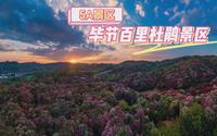 5A景区，贵州省毕节市百里杜鹃景区