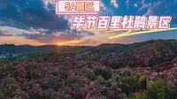 5A景区，贵州省毕节市百里杜鹃景区
