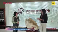 【2025 】青岛贝壳博物馆（山东 ·青岛 ）【云游直播回放】-溜达搬运