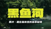 第 3 集｜腾冲黑鱼河！我挖到了森林里的翡翠秘境