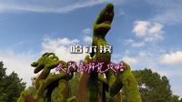 哈尔滨太阳岛好不好玩该怎么玩，本地人的实用攻略，一次性说明白