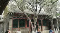 济南趵突泉万竹园和李苦禅纪念馆