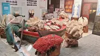 打卡郑州山海砗磲博物馆！