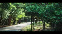 佛山植物园
