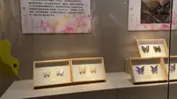 走进台州博物馆，快速认识台州的前世今生，这是地级市里最好的