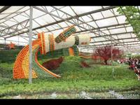 山东寿光蔬菜博览会场景