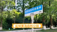 太无聊了，大热天的一个人逛黄海森林公园