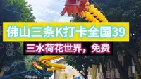 三条K打卡全国39 三水，佛山三水荷花世界免费