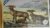 【开箱】和政古生物化石博物馆