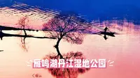 雁鸣湖丹江湿地公园全攻略：北国江南的诗意栖居