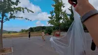 白云山山体公园的梅花鹿