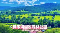 桦木沟国家森林公园：塞外的天然氧吧，四季皆景的人间仙境