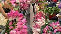 苏州夏日限定的荷花市集真的惊艳到我了……