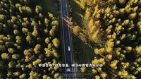 行走在内蒙：穿越呼伦贝尔南部红花尔基国家森林公园，森林深处很多路段是没有手机信号的。