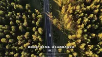 行走在内蒙：穿越呼伦贝尔南部红花尔基国家森林公园，森林深处很多路段是没有手机信号的。