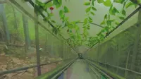 打卡安吉中国大竹海