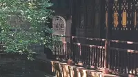 【生活】现在想来，八大山人纪念馆的景也很美～