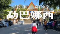 自驾旅行第58天：游览勐巴娜西珍奇园。神奇的树化玉、珍稀名木、热带植物......大饱眼福！