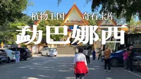 自驾旅行第58天：游览勐巴娜西珍奇园。神奇的树化玉、珍稀名木、热带植物......大饱眼福！