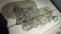山西地质博物馆！