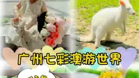 【啾啾日常】｜遛娃好去处～｜广州增城七彩澳游世界～