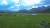 这是海南万宁的桥海牧场，小众人少，治愈且免费的地方，在海南如果看海看腻了很适合来这里发呆，感受大自然
