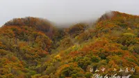 2021十一吉林白山十五道沟望天鹅景区
