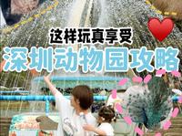 深圳野生动物园攻略，十一假期深圳旅游指南