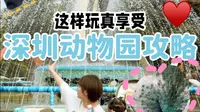 深圳野生动物园攻略，十一假期深圳旅游指南
