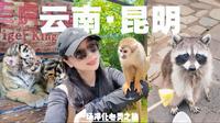 云南｜昆明野生动物园一日游