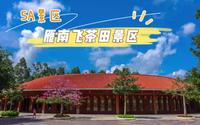 5A景区，广东省梅州市雁南飞茶田景区