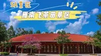 5A景区，广东省梅州市雁南飞茶田景区