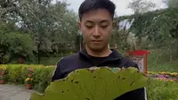 绛守居园池