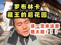 在罗布林卡，我又找到了内心的平静。年近30也没什么大不了的。