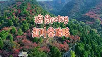 济南红叶谷攻略来啦