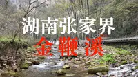 湖南张家界“金鞭溪”，高山下的最美河谷