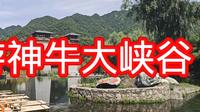 小刚周末领孩子去神牛大峡谷游玩，孩子还带着小猫，路上有说有笑，真开心